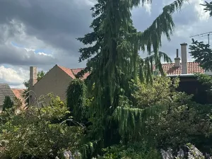 Prodej rodinného domu, Líský, 300 m2
