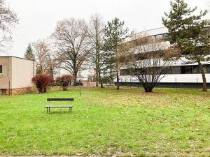 Pronájem bytu 2+1, Hradec Králové, Jungmannova, 59 m2
