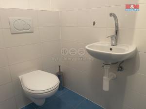 Pronájem bytu 2+1, Praha, Luštěnická, 35 m2
