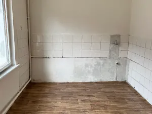Prodej bytu 3+1, Lešany, 58 m2