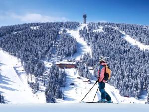 Prodej rodinného domu, Kovářská, Hamerská, 341 m2