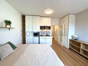 Pronájem bytu 1+kk, Brno, Cejl, 30 m2