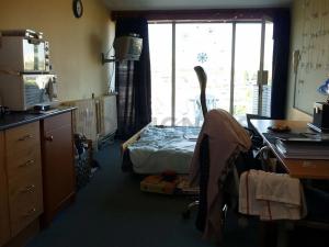 Pronájem bytu 1+kk, Brno, Palackého třída, 24 m2