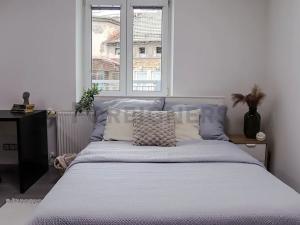 Pronájem bytu 1+kk, Brno, Jakubské náměstí, 39 m2