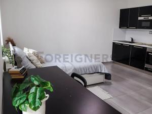 Pronájem bytu 1+kk, Brno, Jakubské náměstí, 39 m2