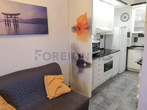 Pronájem bytu 1+kk, Praha - Košíře, Nepomucká, 40 m2