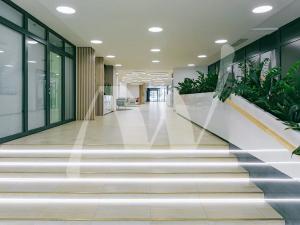 Pronájem kanceláře, Praha - Karlín, Sokolovská, 342 m2