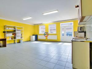 Prodej vícegeneračního domu, Olomouc, Jilemnického, 2976 m2