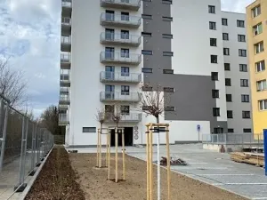 Pronájem bytu 1+kk, Jihlava, Okružní, 44 m2