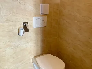 Pronájem bytu 1+kk, Praha - Košíře, Vrchlického, 20 m2