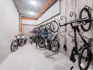 Pronájem bytu 2+kk, Praha - Holešovice, U Pergamenky, 55 m2