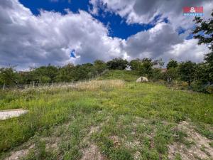 Prodej zahrady, Žitenice, 1565 m2