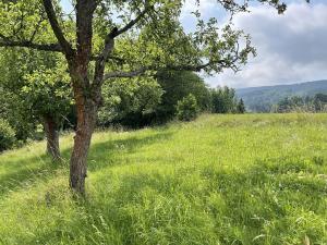 Prodej chalupy, Machov, 206 m2
