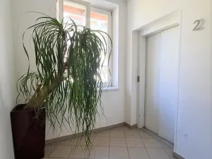 Pronájem kanceláře, Praha - Veleslavín, Pláničkova, 213 m2