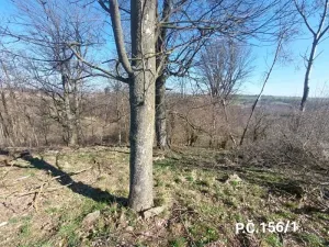 Prodej lesa, Jihlava, 52928 m2