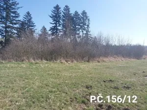 Prodej lesa, Jihlava, 52928 m2