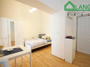 Pronájem bytu 1+kk, Brno, Koliště, 24 m2