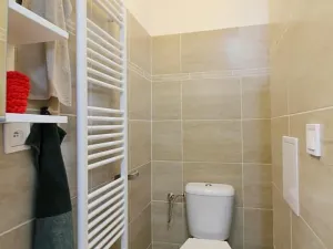 Pronájem bytu 1+kk, Brno, Koliště, 24 m2