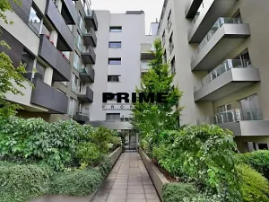 Pronájem bytu 2+kk, Praha - Žižkov, Prokopova, 56 m2