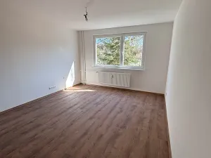 Prodej bytu 1+1, Liberec, Dělnická, 35 m2