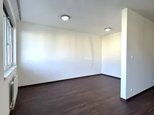 Pronájem bytu 1+kk, Praha - Hlubočepy, Hugo Haase, 51 m2
