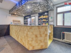 Prodej restaurace, Toužim, Školní, 524 m2