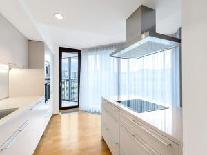 Pronájem bytu 3+kk, Praha - Žižkov, Pitterova, 100 m2