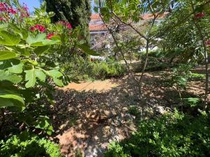 Prodej bytu 1+1, Pavićini, Chorvatsko, 36 m2