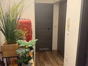 Pronájem bytu 1+kk, Praha - Nové Město, Navrátilova, 33 m2