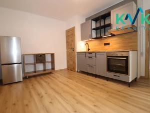 Pronájem bytu 2+1, Ostrov, Komenského, 74 m2