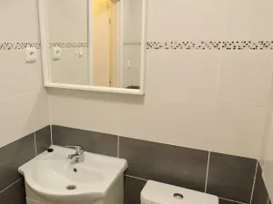 Pronájem bytu 1+kk, Sokolov, Mánesova, 22 m2