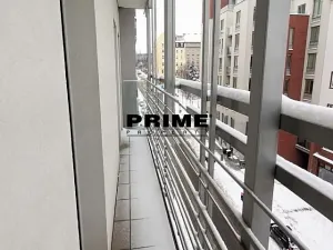 Pronájem bytu 2+kk, Praha - Žižkov, Prokopova, 43 m2