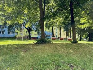 Prodej bytu 3+1, Ostrava, Rezkova, 68 m2
