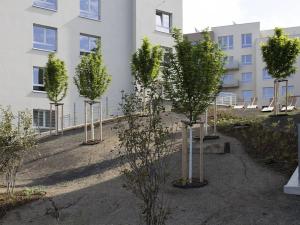Prodej bytu 5+kk, Praha - Modřany, Kolmanova, 136 m2