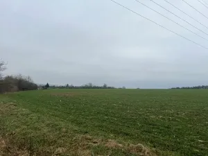 Prodej podílu pole, Neděliště, 722 m2