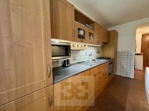 Pronájem bytu 1+1, Brno, Merhautova, 50 m2