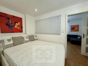 Pronájem bytu 1+1, Brno, Merhautova, 50 m2