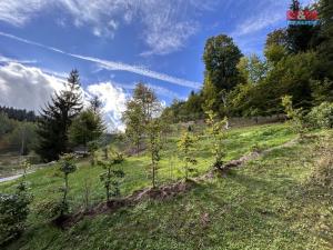 Prodej pozemku pro bydlení, Smržovka, Údolní, 2436 m2