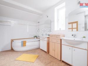 Pronájem rodinného domu, Praha - Braník, Údolní, 330 m2