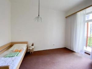 Pronájem bytu 1+kk, Brno, Hrnčířská, 27 m2