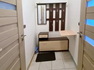 Pronájem bytu 1+kk, Brno, Obřanská, 30 m2