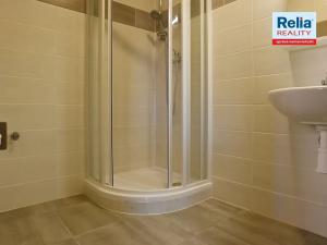 Pronájem bytu 3+kk, Liberec, Americká, 47 m2
