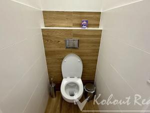 Pronájem bytu 2+kk, Praha - Žižkov, Habrová, 45 m2