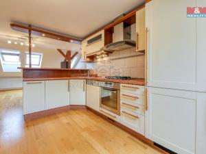 Pronájem bytu 4+kk, Plzeň - Východní Předměstí, Úslavská, 140 m2
