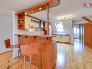 Pronájem bytu 4+kk, Plzeň - Východní Předměstí, Úslavská, 140 m2
