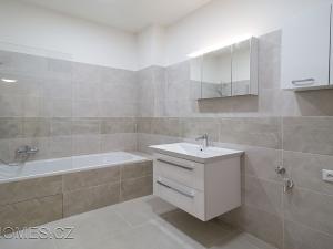 Pronájem kanceláře, Praha - Nusle, Petra Rezka, 66 m2