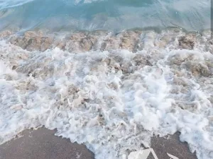 Prodej bytu 1+kk, Nesebar, Bulharsko, 24 m2