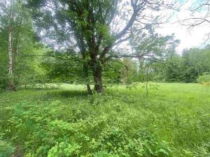 Prodej pozemku, Horní Planá - Bližší Lhota, Zvonková, 3443 m2