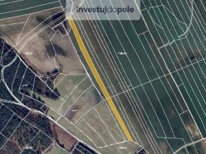 Prodej pole, Kojice, 7158 m2