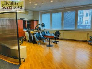 Pronájem obchodního prostoru, Hradec Králové, Škroupova, 53 m2